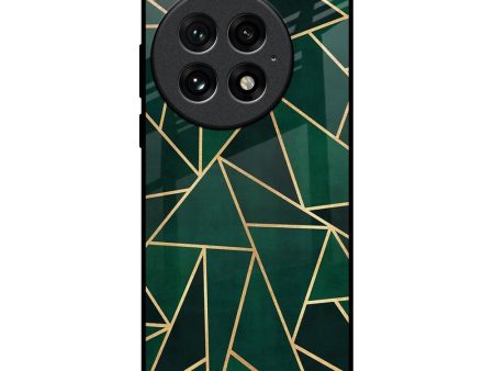 Abstract Green Glass Case For OnePlus 13 Online now